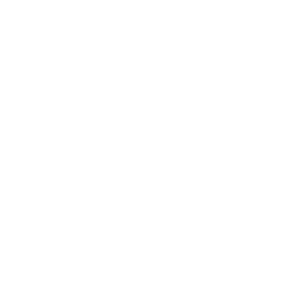Volume Down Icon